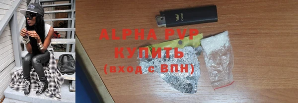 твердый Краснослободск
