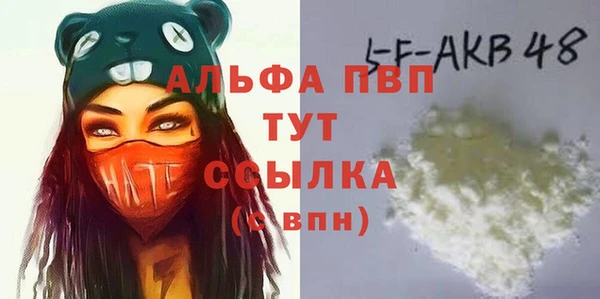 твердый Краснослободск