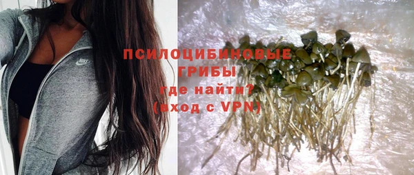 индика Мурманск