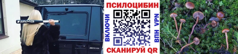 Псилоцибиновые грибы мухоморы  Купить закладки  Кувшиново 